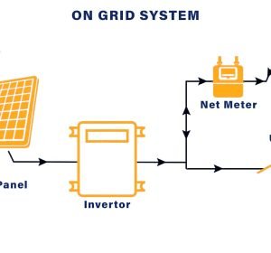 WhatsApp Image 2024-08-12 at 12.34.23 PM