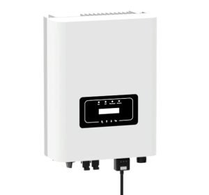 WhatsApp Image 2024-08-12 at 3.15.11 PM