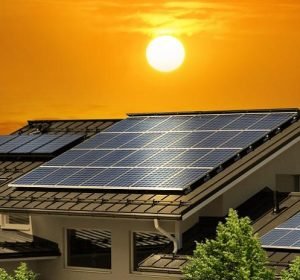 WhatsApp Image 2024-08-12 at 4.37.16 PM